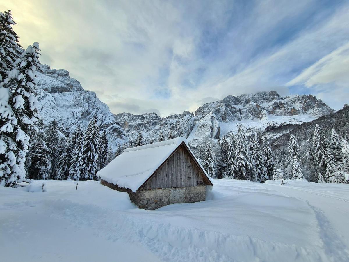 Chalet Camporosso Camporosso  Exterior photo